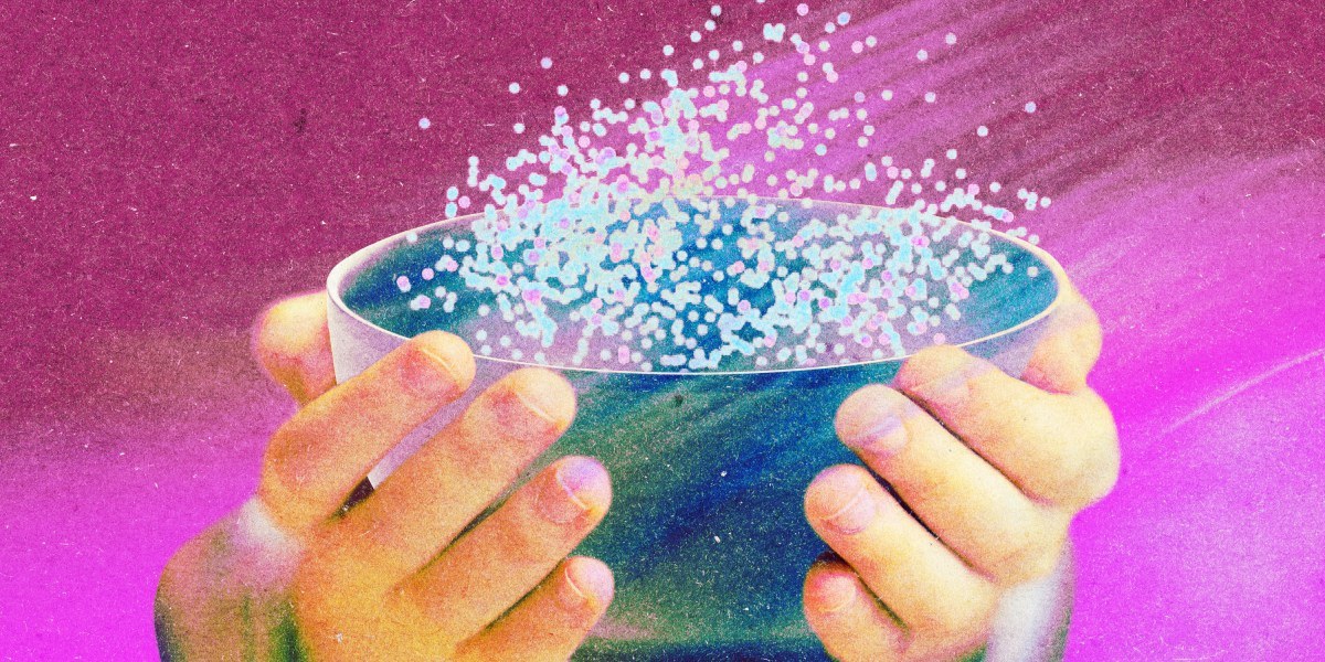 Автоматизируй себя или уволят: как китайский ИТ-сектор создает цифровых двойников